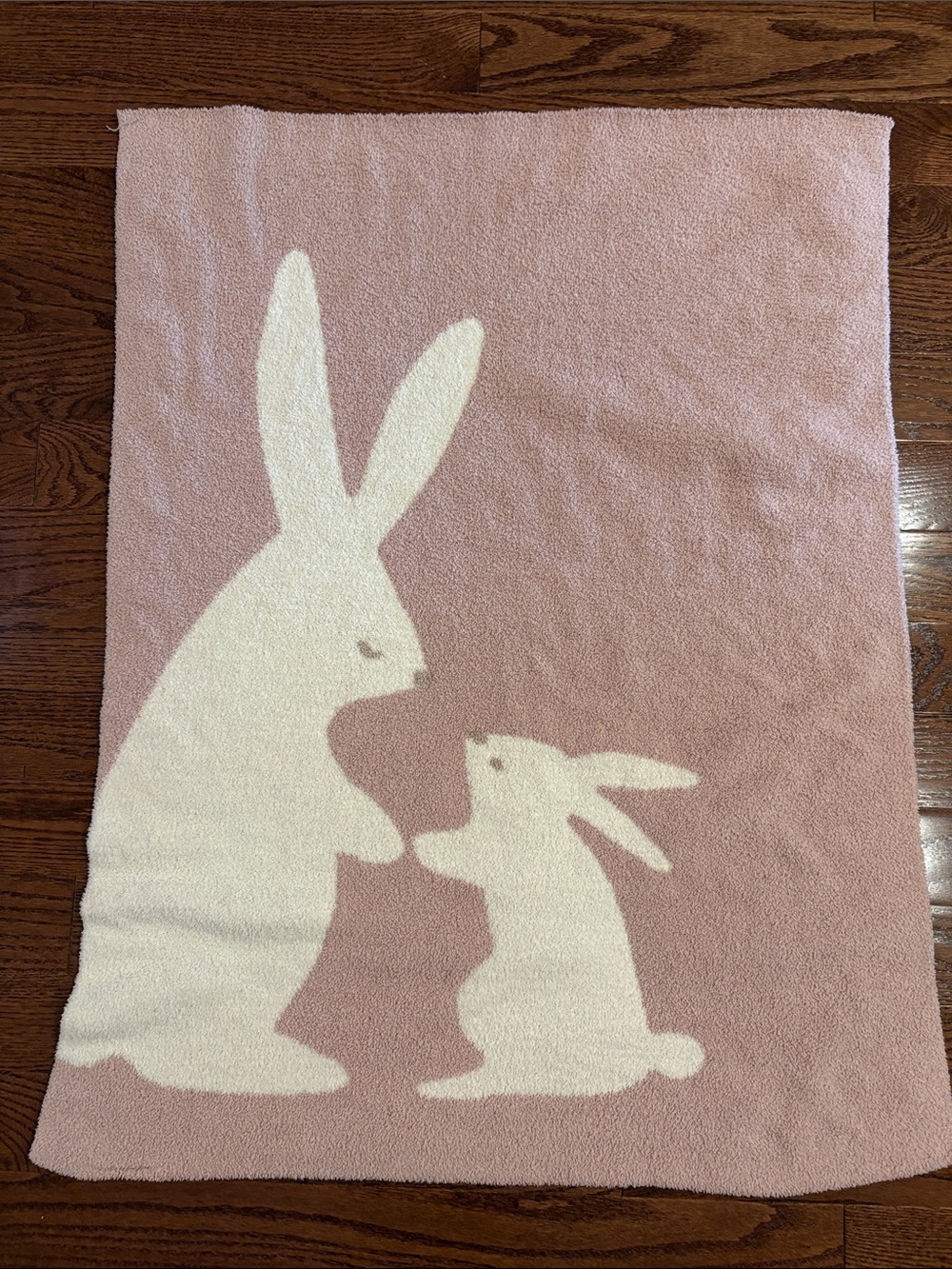 Pottery barn kids. Baby blanket. Reversible.